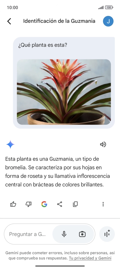 Sigue las indicaciones de la pantalla para escribir o decir en alto la pregunta deseada. Puedes adjuntar fotografías o documentos y hacer preguntas acerca de ellos.