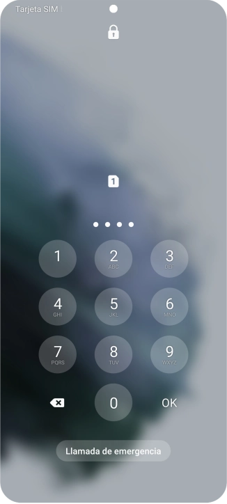 Si lo solicita el teléfono, introduce el código PIN y pulsa OK.