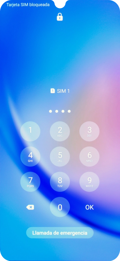 Si es necesario desbloquear la tarjeta SIM, introduce el código PIN y pulsa OK.