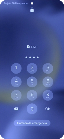 Si lo solicita el teléfono, introduce el código PIN y pulsa OK.