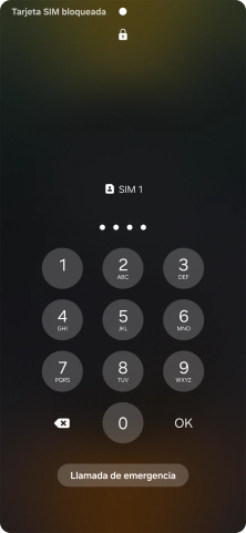 Si es necesario desbloquear la tarjeta SIM, introduce el código PIN y pulsa OK.