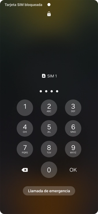 Si es necesario desbloquear la tarjeta SIM, introduce el código PIN y pulsa OK.