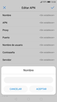 Introduce Vodafone Internet y pulsa ACEPTAR.