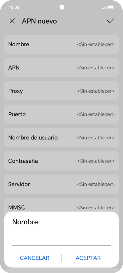 Introduce Vodafone Internet y pulsa ACEPTAR.