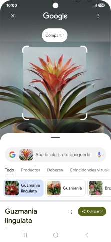 Sigue las indicaciones de la pantalla para utilizar los resultados de búsqueda.