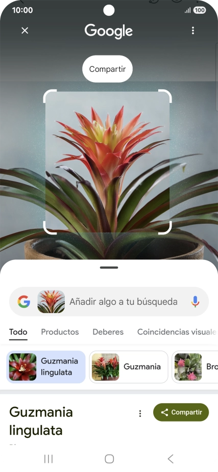 Sigue las indicaciones de la pantalla para utilizar los resultados de búsqueda.