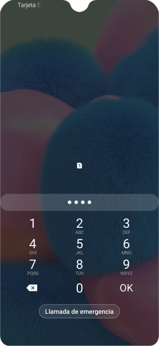 Si lo solicita el teléfono, introduce el código PIN y pulsa OK.