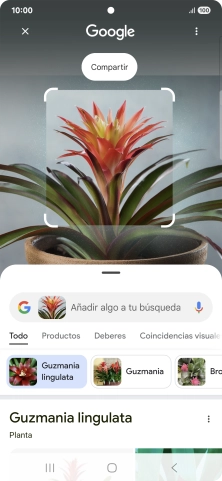 Sigue las indicaciones de la pantalla para utilizar los resultados de búsqueda.