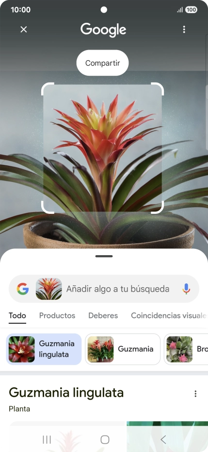 Sigue las indicaciones de la pantalla para utilizar los resultados de búsqueda.