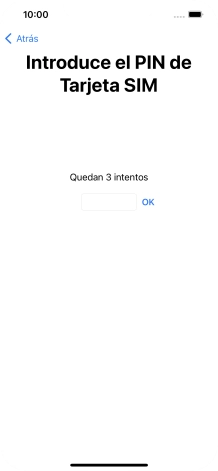 Si es necesario desbloquear la tarjeta SIM, introduce el código PIN y pulsa OK.