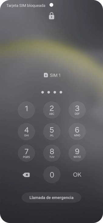 Si es necesario desbloquear la tarjeta SIM, introduce el código PIN y pulsa OK.