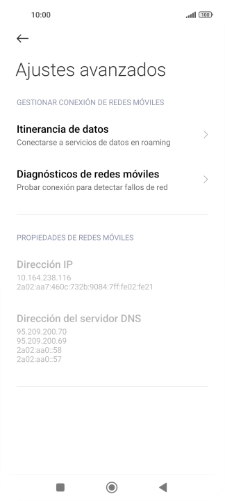 Pulsa Itinerancia de datos.