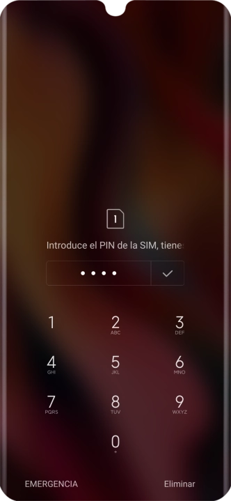 Si lo solicita el teléfono, introduce el código PIN y pulsa el icono de aceptar.