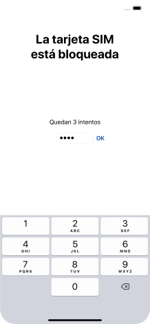 Si es necesario desbloquear la tarjeta SIM, introduce el código PIN y pulsa OK.