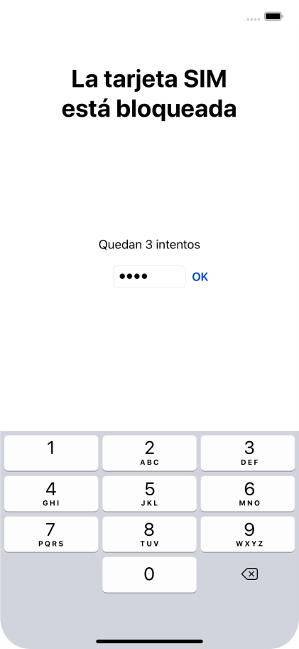 Si es necesario desbloquear la tarjeta SIM, introduce el código PIN y pulsa OK.