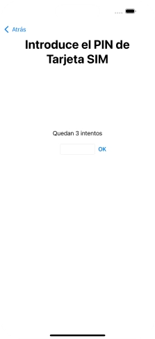 Si es necesario desbloquear la tarjeta SIM, introduce el código PIN y pulsa OK.