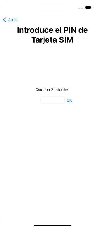 Si es necesario desbloquear la tarjeta SIM, introduce el código PIN y pulsa OK.
