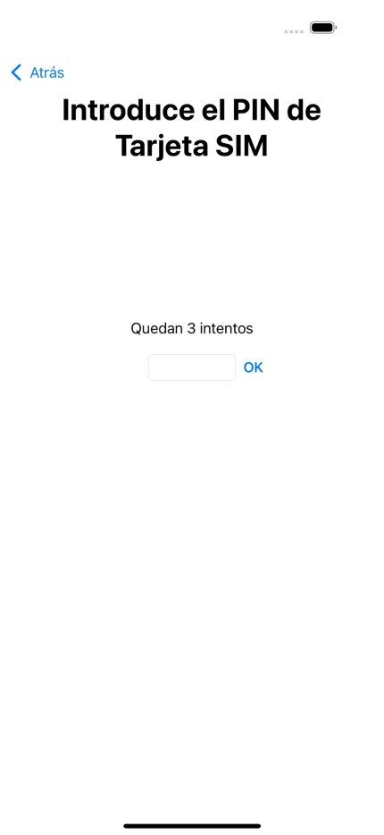 Si es necesario desbloquear la tarjeta SIM, introduce el código PIN y pulsa OK.