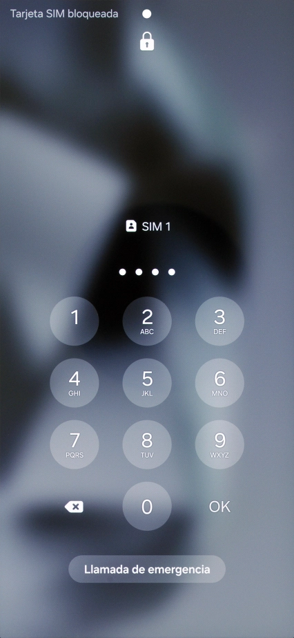 Si es necesario desbloquear la tarjeta SIM, introduce el código PIN y pulsa OK.