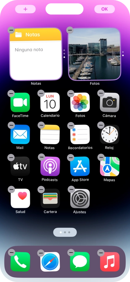 Pulsa el icono de página de pantalla de inicio.
