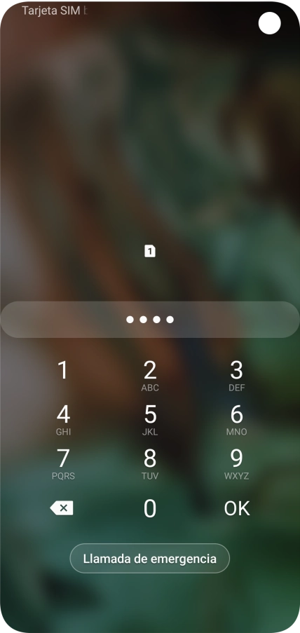 Si lo solicita el teléfono, introduce el código PIN y pulsa OK.