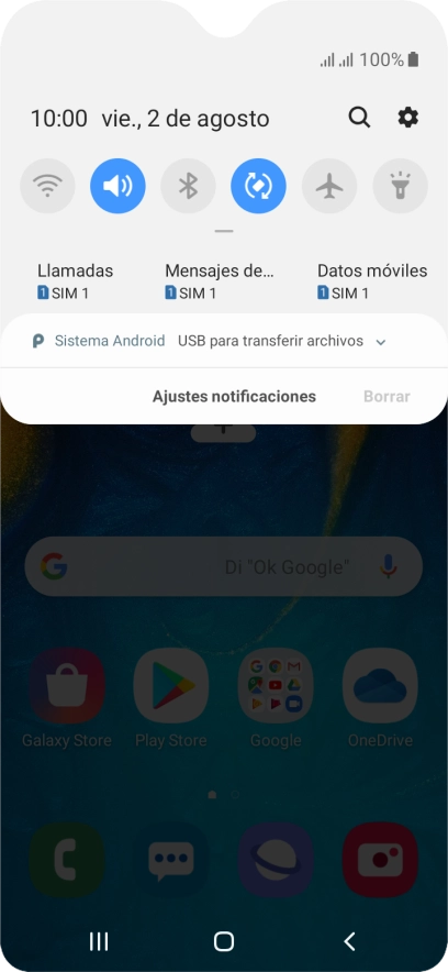 Pulsa Sistema Android.