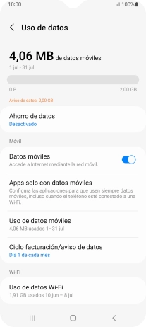 El consumo total de datos se visualiza ahora en la pantalla.