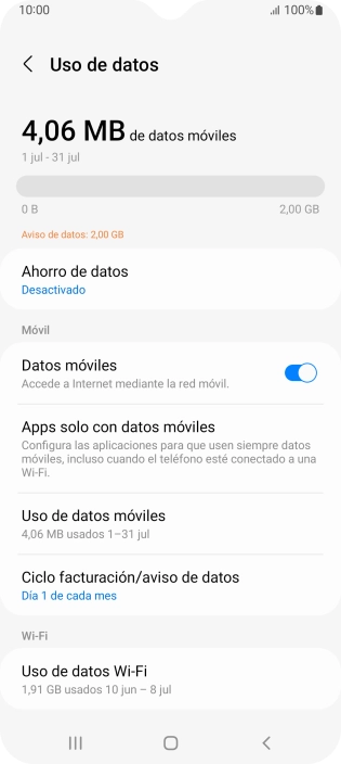 El consumo total de datos se visualiza ahora en la pantalla.