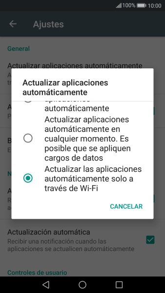 Pulsa Actualizar las aplicaciones automáticamente solo a través de Wi-Fi para activar la función.
