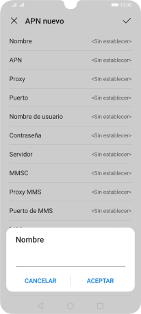 Introduce Vodafone Internet y pulsa ACEPTAR.