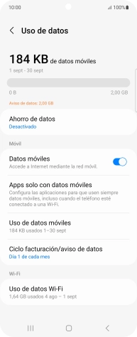 El consumo total de datos se visualiza ahora en la pantalla.