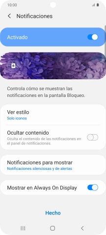 Pulsa los ajustes deseados para activarlos o desactivarlos.