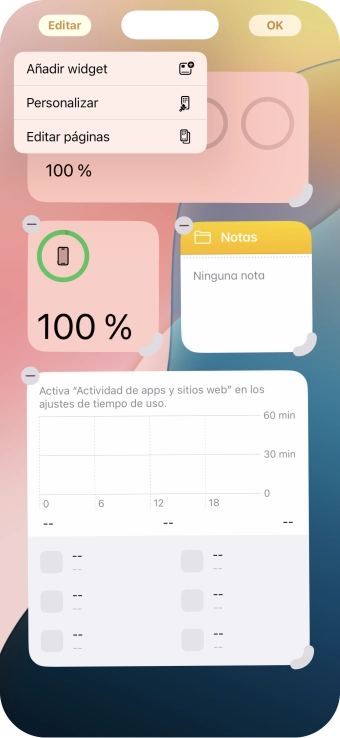 Pulsa Añadir widget.