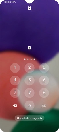 Si lo solicita el teléfono, introduce el código PIN y pulsa OK.