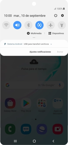 Pulsa Sistema Android.