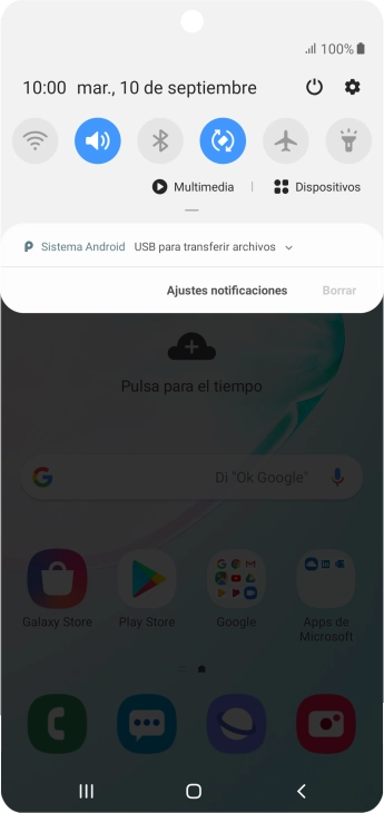Pulsa Sistema Android.
