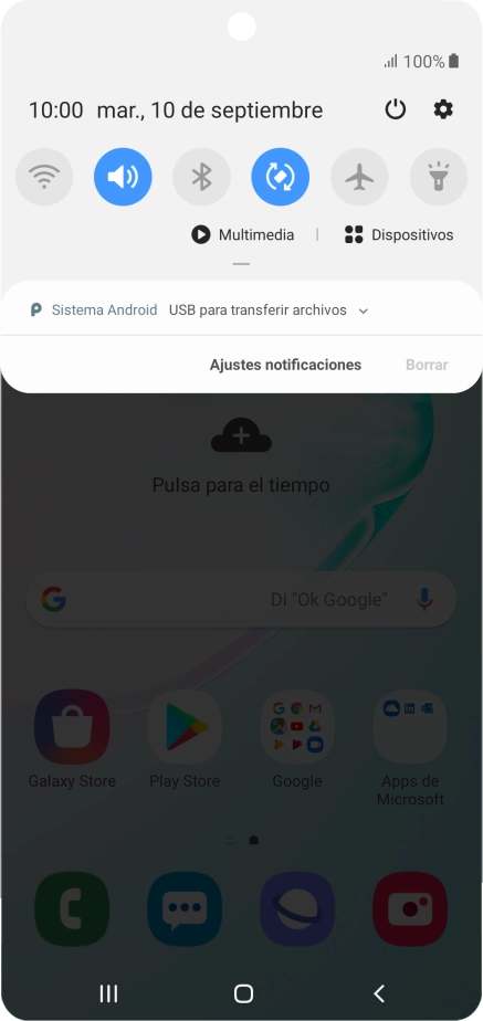 Pulsa Sistema Android.