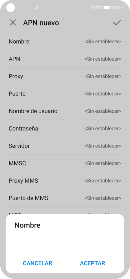 Introduce Vodafone Internet y pulsa ACEPTAR.