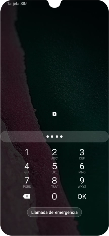 Si lo solicita el teléfono, introduce el código PIN y pulsa OK.