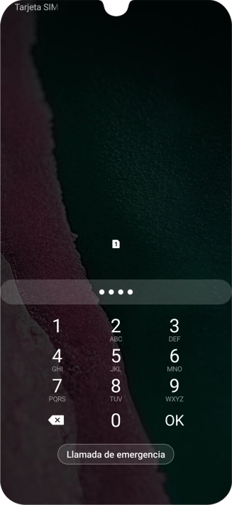 Si lo solicita el teléfono, introduce el código PIN y pulsa OK.