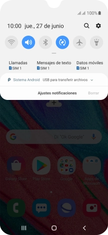 Pulsa Sistema Android.