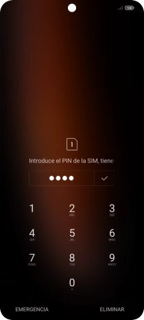 Si lo solicita el teléfono, introduce el código PIN y pulsa el icono de aceptar.