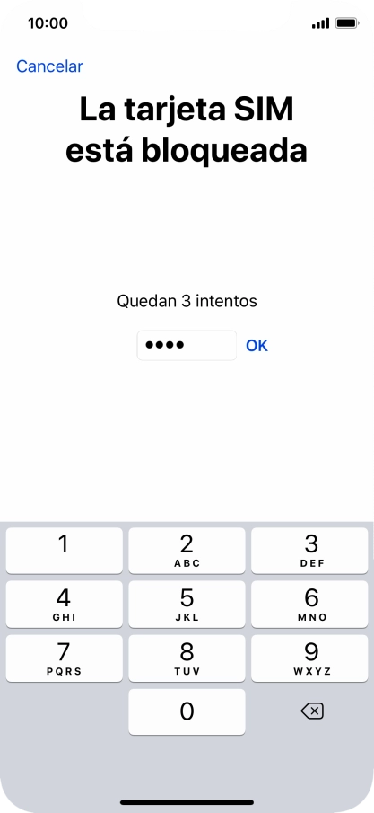 Si es necesario desbloquear la tarjeta SIM, introduce el código PIN y pulsa OK.