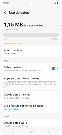 El consumo total de datos se visualiza ahora en la pantalla.