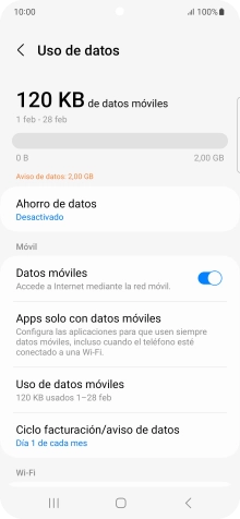 El consumo total de datos se visualiza ahora en la pantalla.