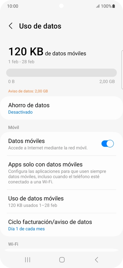 El consumo total de datos se visualiza ahora en la pantalla.