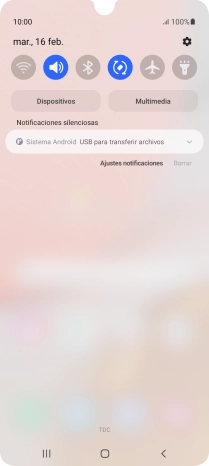 Pulsa Sistema Android.