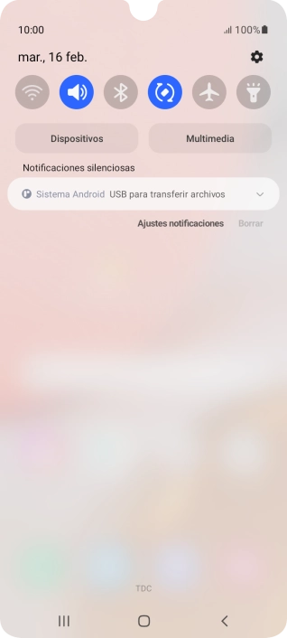 Pulsa Sistema Android.