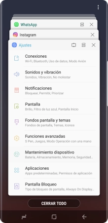 Para cerrar una sola aplicación en ejecución, desliza el dedo hacia la derecha sobre la aplicación deseada.