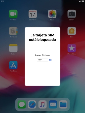 Si es necesario desbloquear la tarjeta SIM, introduce el código PIN y pulsa OK.